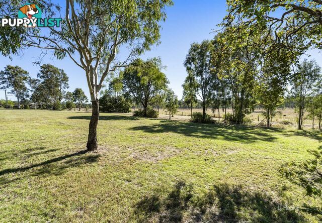 Lot 506 McConnel Street BRAEMORE QLD 4313