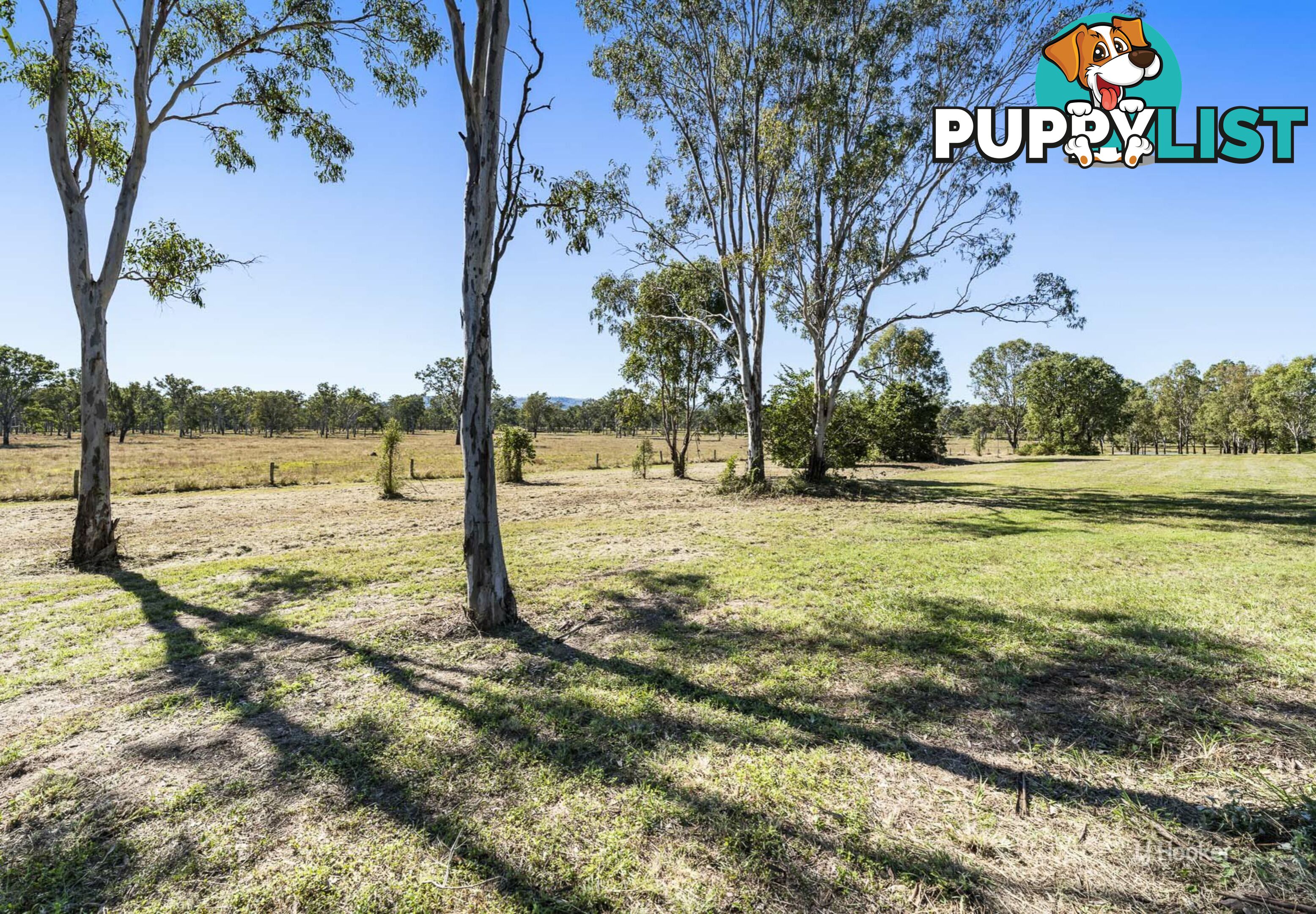 Lot 506 McConnel Street BRAEMORE QLD 4313