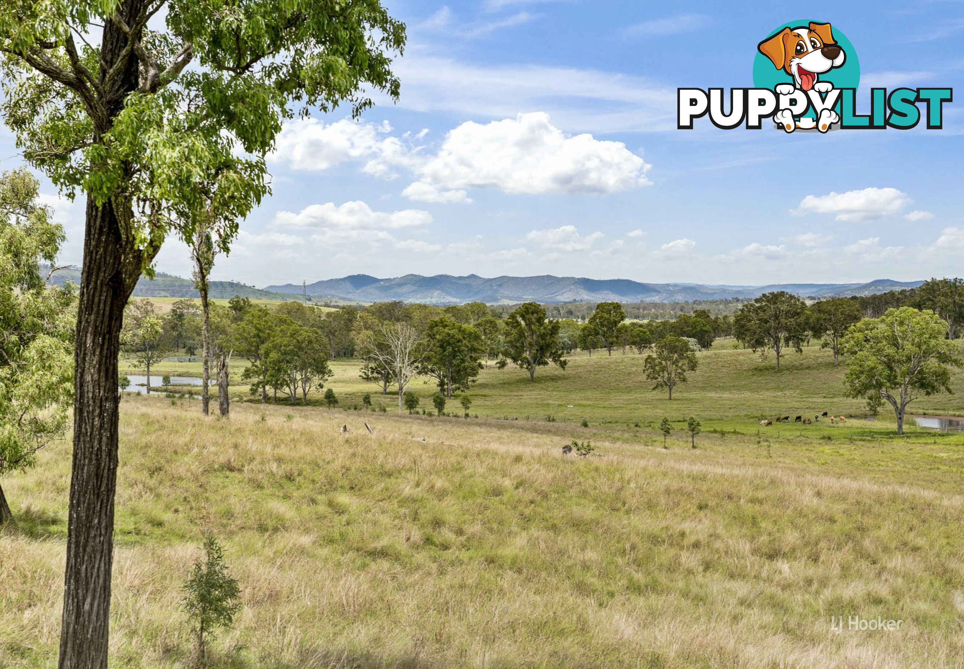 599 Spring Creek Road HARLIN QLD 4314