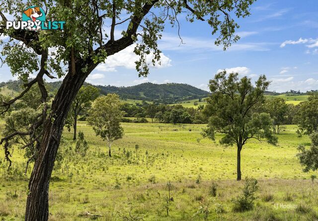 599 Spring Creek Road HARLIN QLD 4314