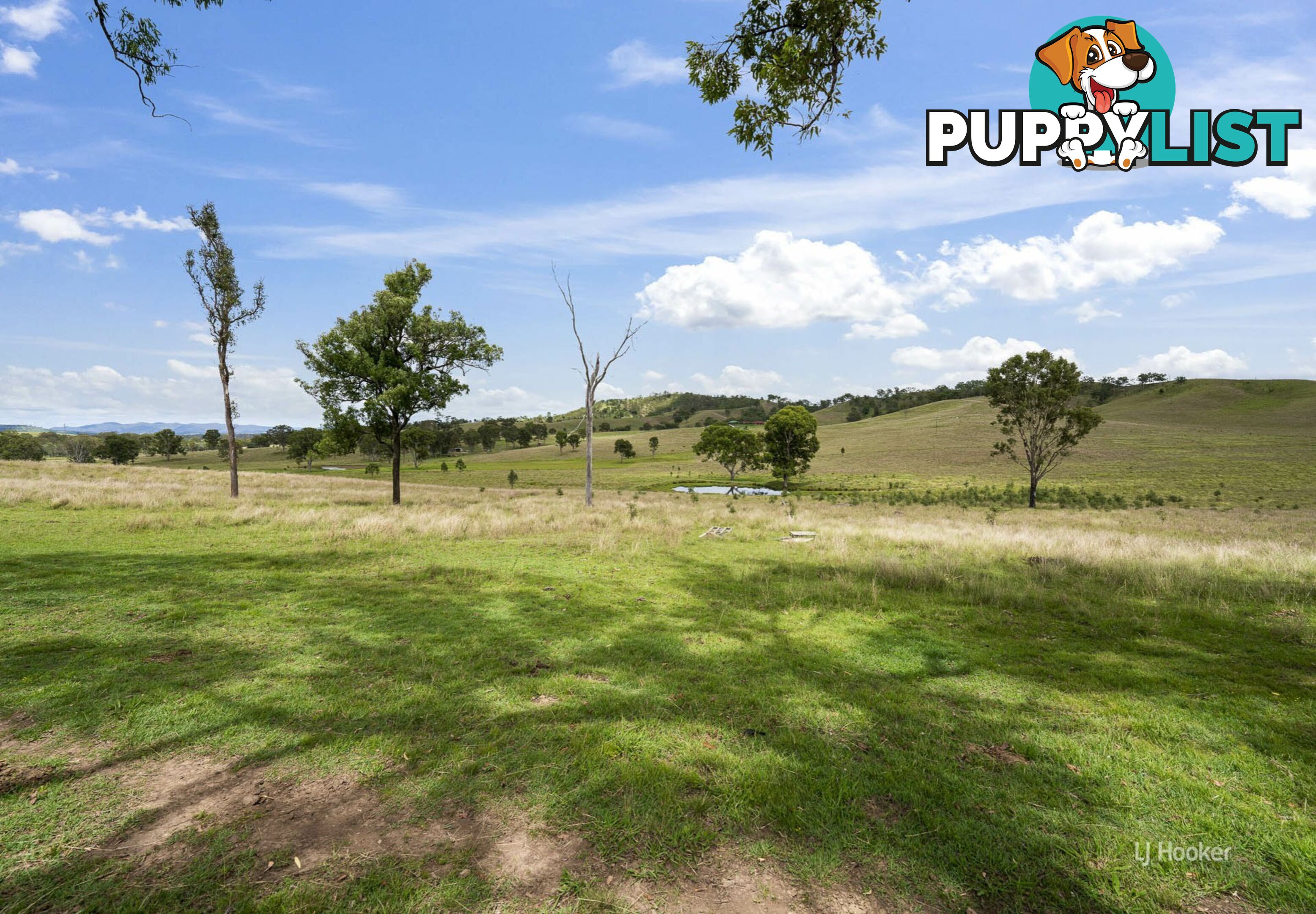 599 Spring Creek Road HARLIN QLD 4314