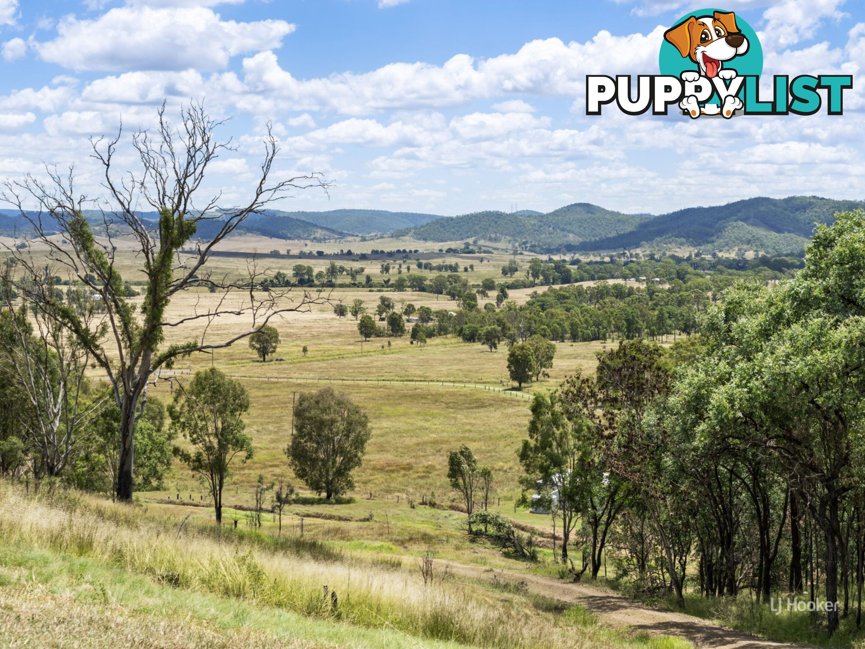 524 Turtle Creek Road HARLIN QLD 4314