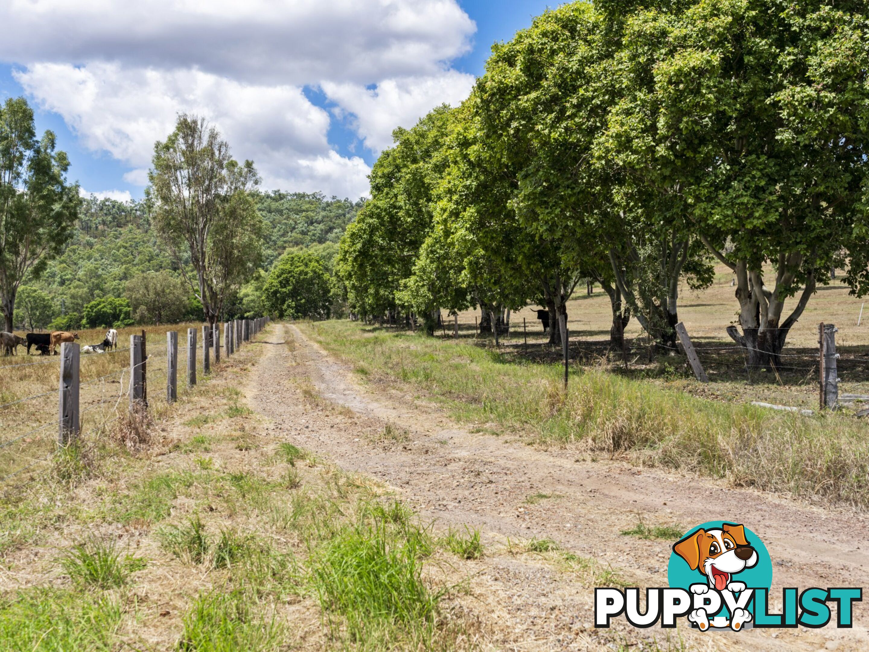 524 Turtle Creek Road HARLIN QLD 4314