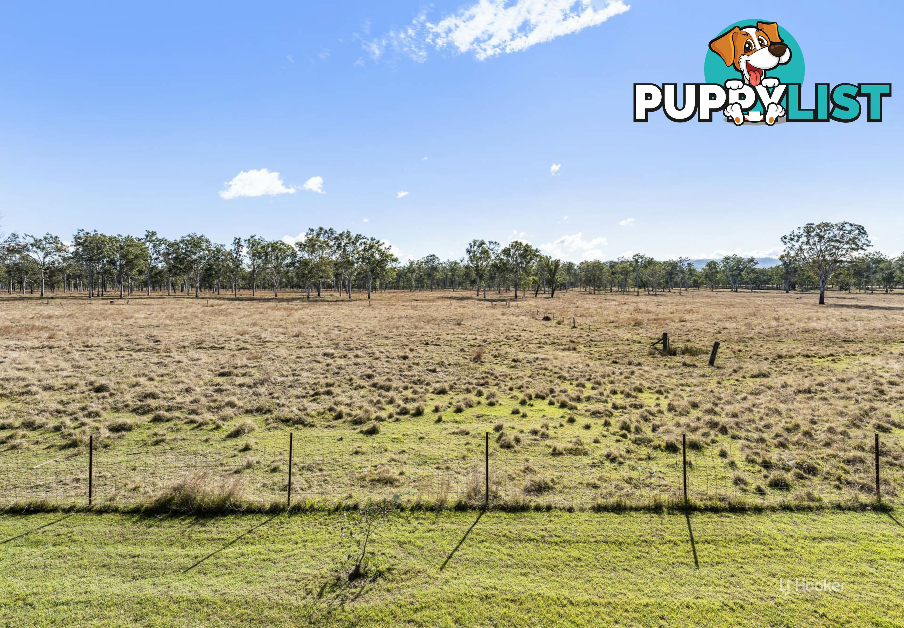 65 McConnel Street BRAEMORE QLD 4313