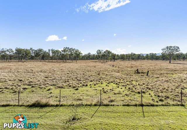 65 McConnel Street BRAEMORE QLD 4313