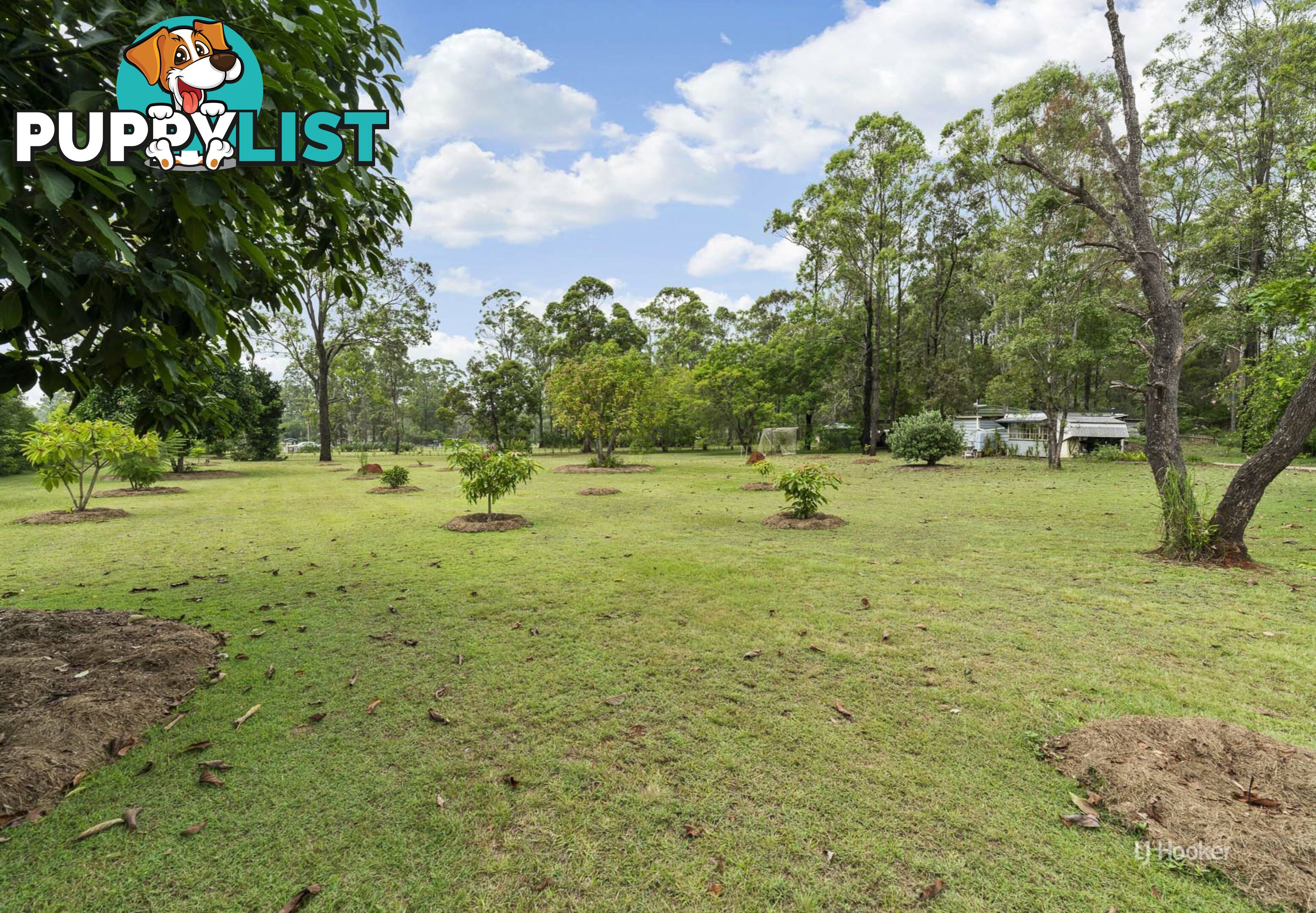 116 Crumpton Drive BLACKBUTT QLD 4314