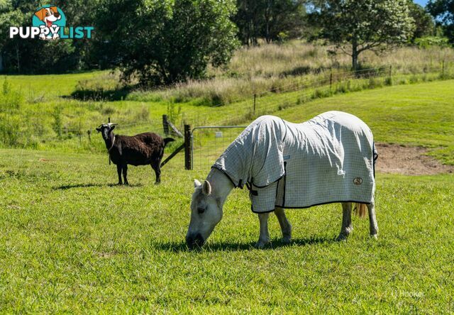 59 David Road TAROMEO QLD 4314