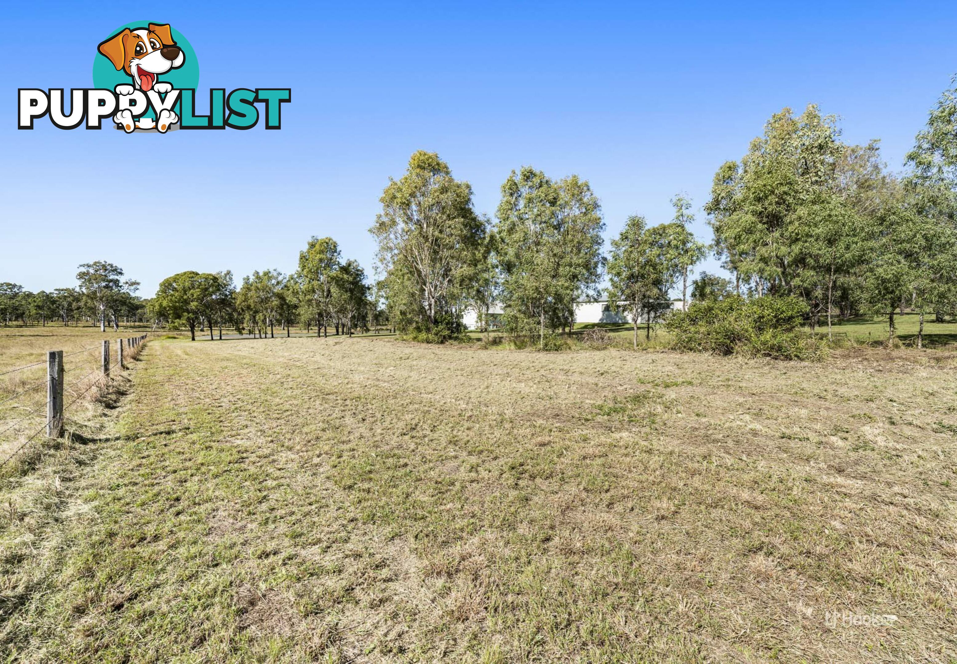 Lot 505 Colinton Street BRAEMORE QLD 4313
