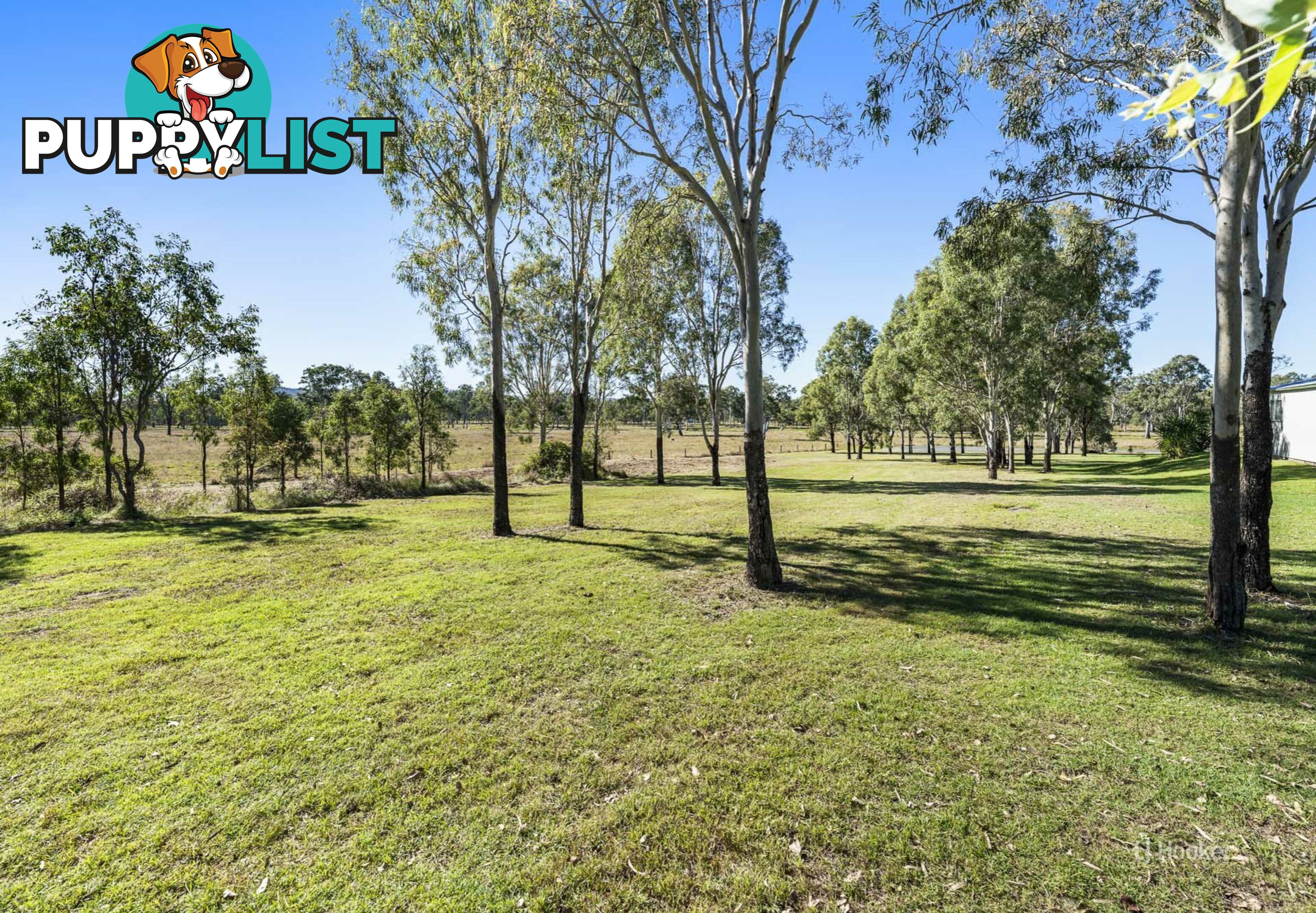 Lot 505 Colinton Street BRAEMORE QLD 4313