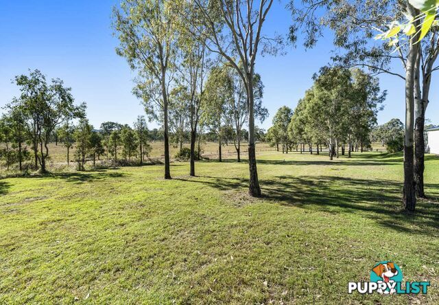 Lot 505 Colinton Street BRAEMORE QLD 4313