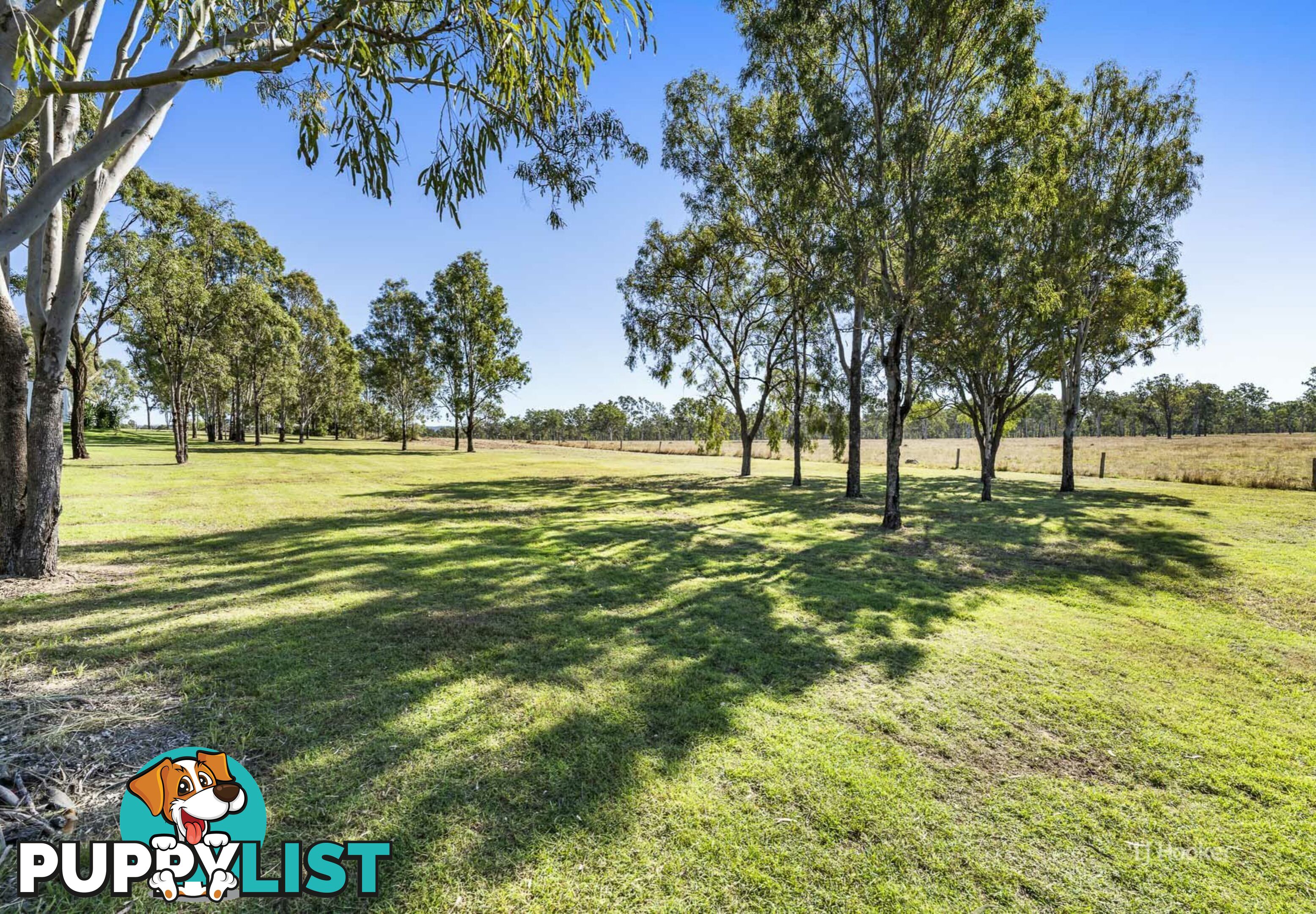 Lot 505 Colinton Street BRAEMORE QLD 4313