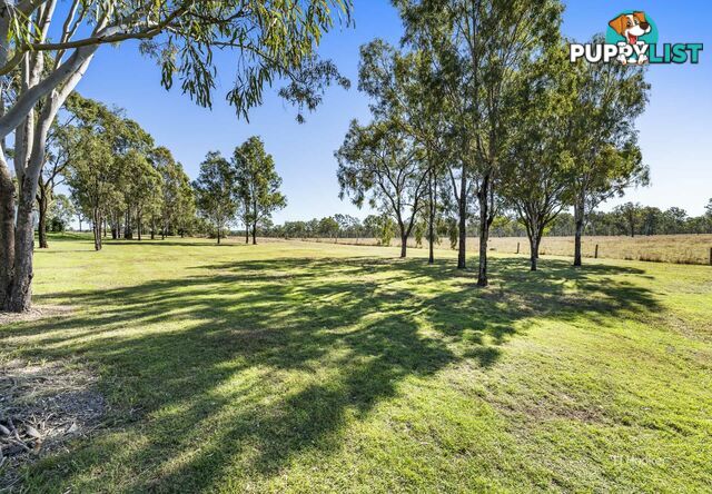 Lot 505 Colinton Street BRAEMORE QLD 4313
