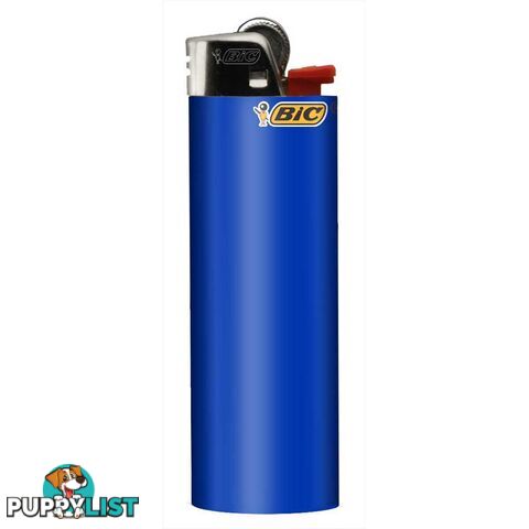 Bic Pocket Lighter