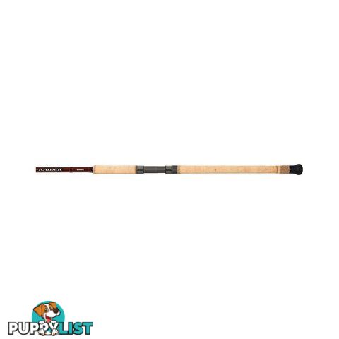 Shimano Raider Surf Rod