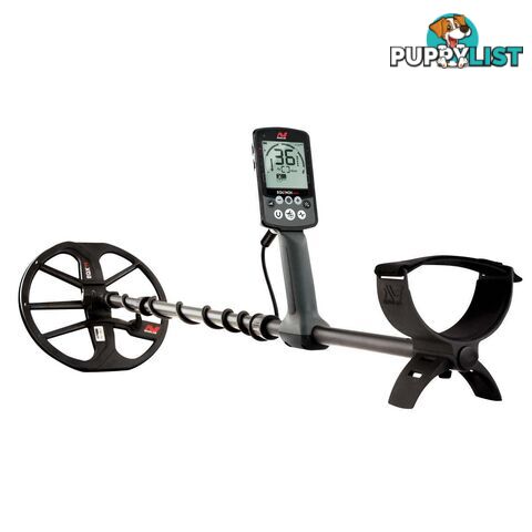 Minelab Equinox 800 Metal Detector