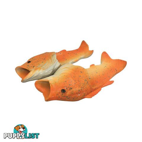 Coral Trout Fish Feet