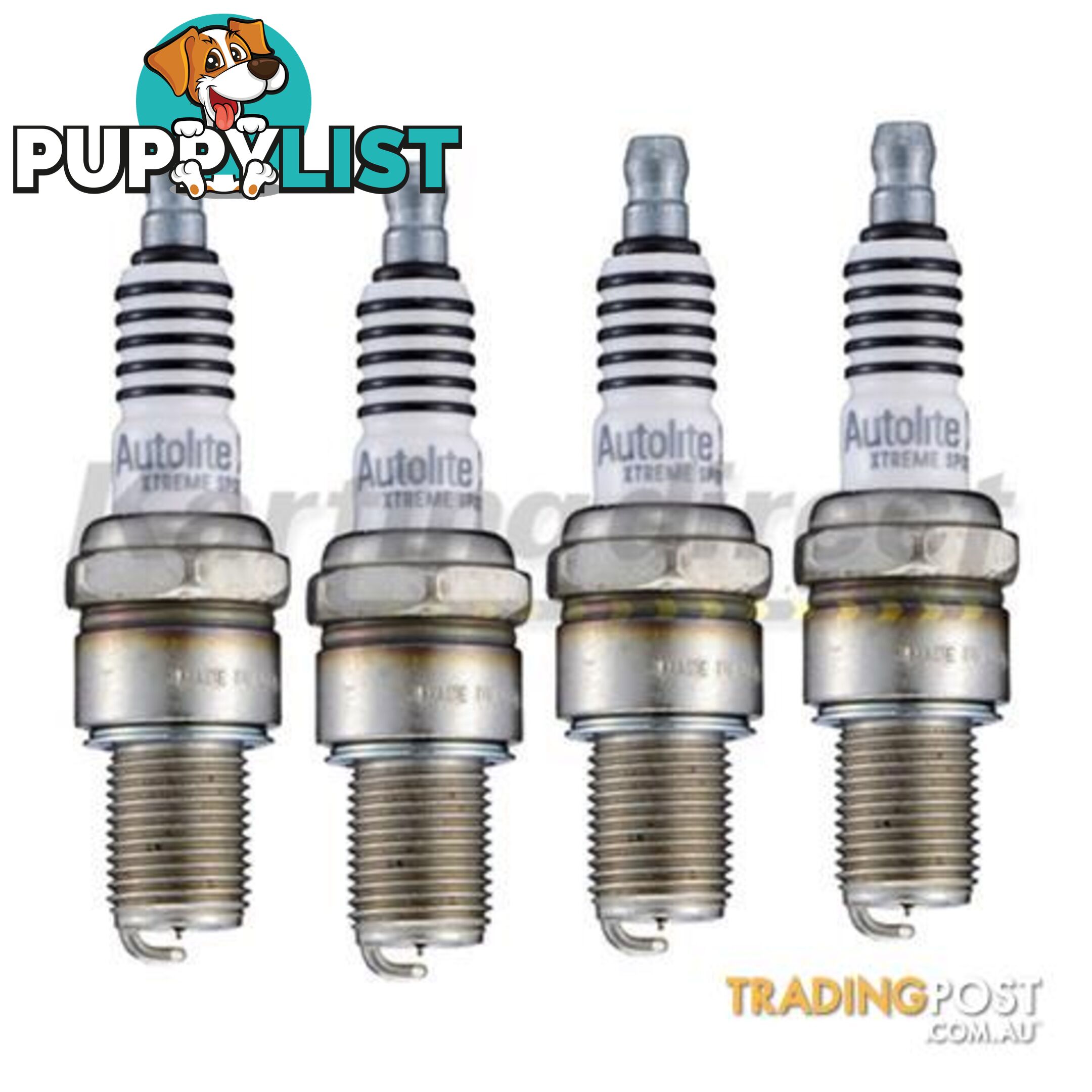 Go Kart Spark Plug Autolite Xtreme Sport XS4063 4 Pack NGK 8 Heat Range - ALL BRAND NEW !!!