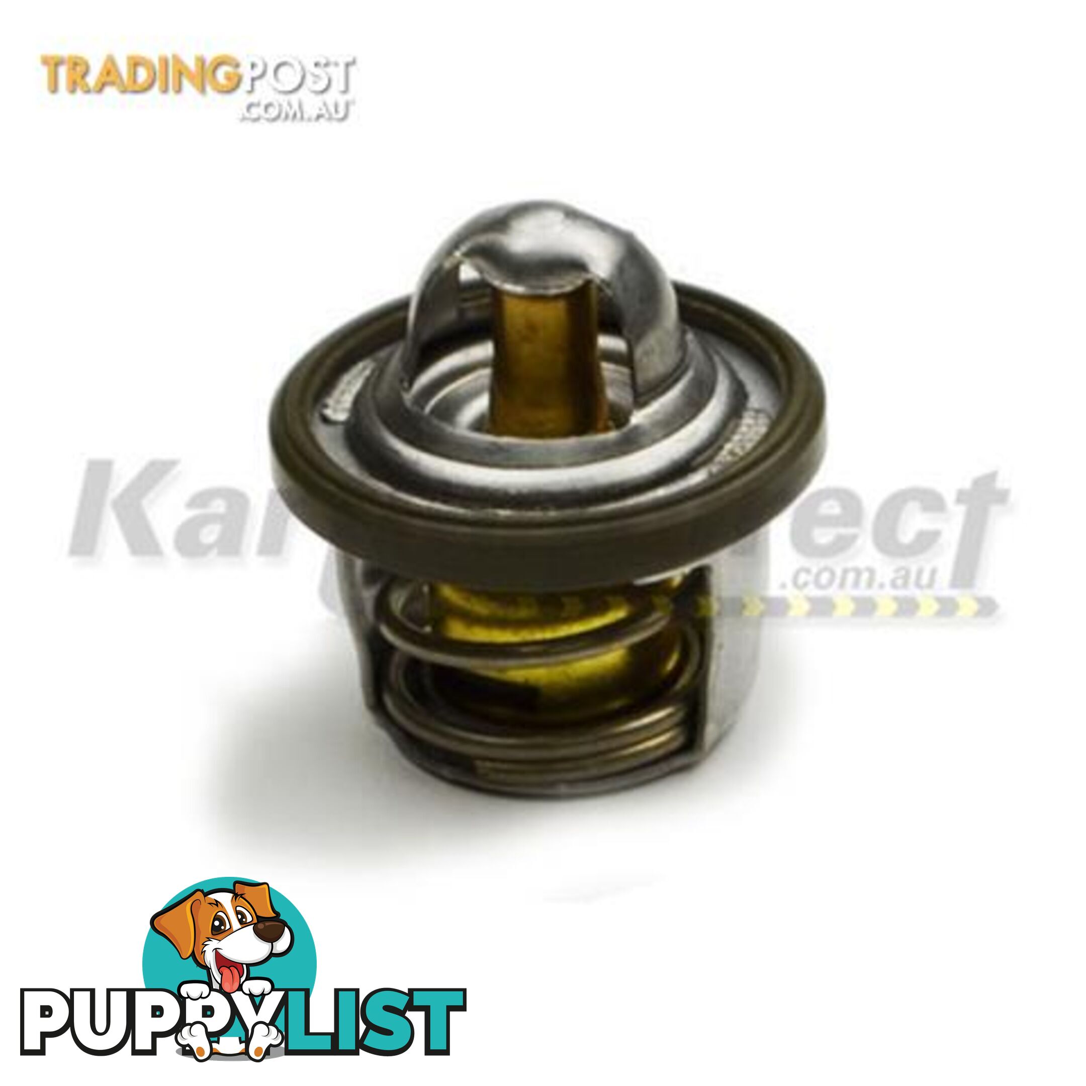 Go Kart Thermostat 70c  Stainless Steel - ALL BRAND NEW !!!