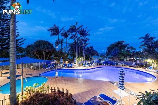 1B/828 Pacific Parade CURRUMBIN QLD 4223