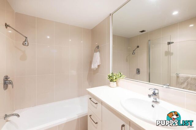 1B/828 Pacific Parade CURRUMBIN QLD 4223