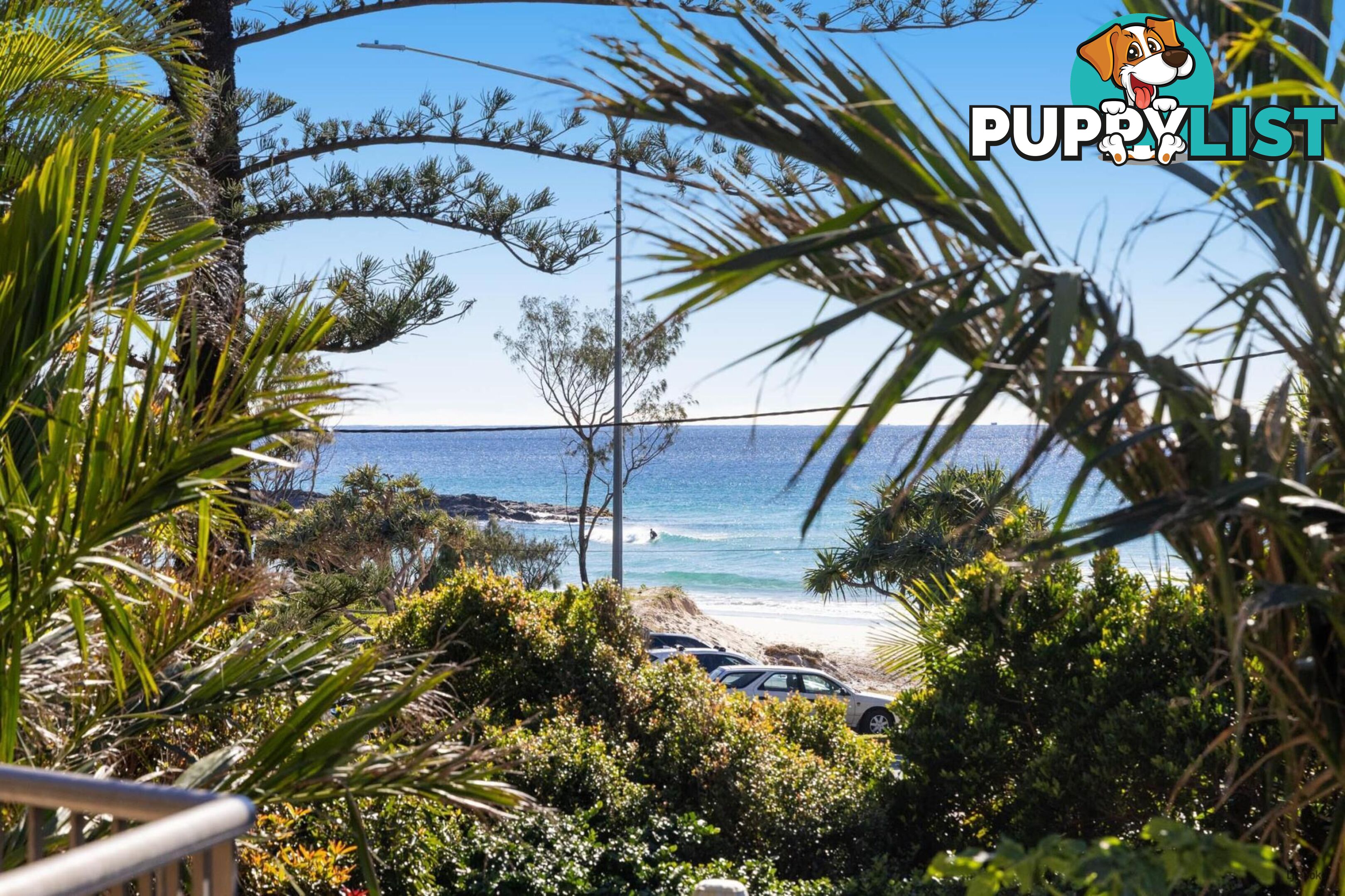1B/828 Pacific Parade CURRUMBIN QLD 4223
