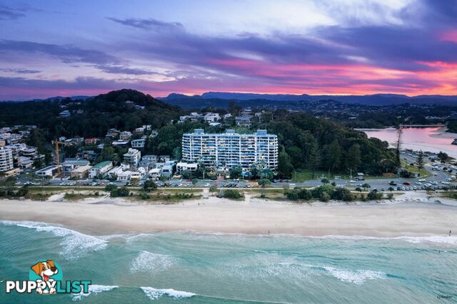 1B/828 Pacific Parade CURRUMBIN QLD 4223