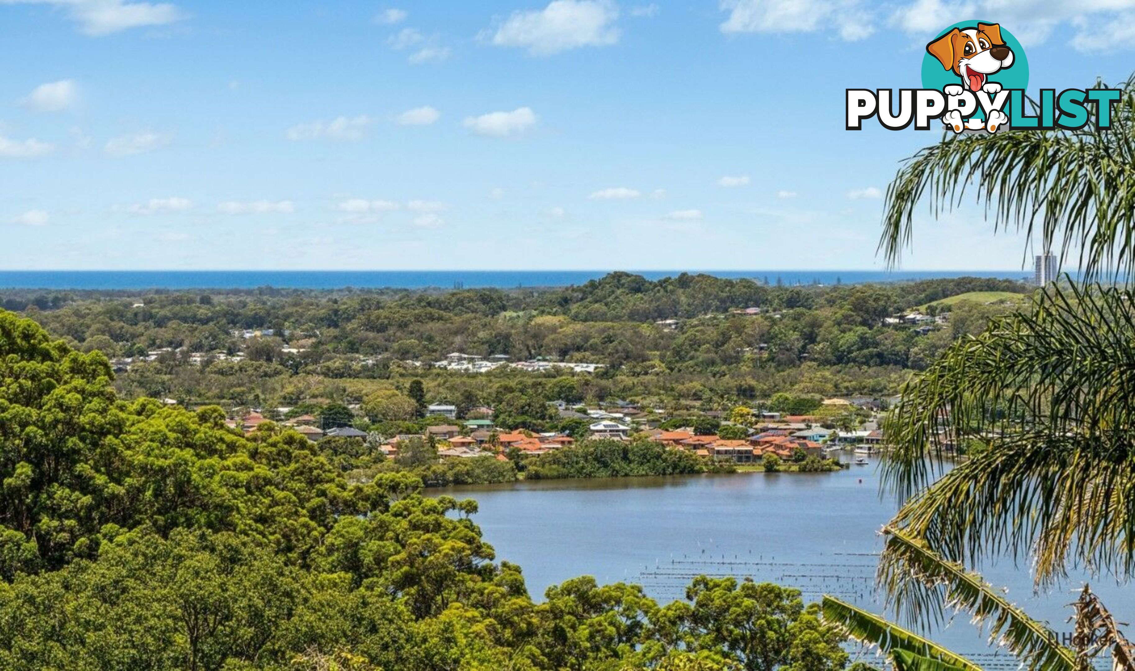 23 Karingal Avenue BILAMBIL HEIGHTS NSW 2486
