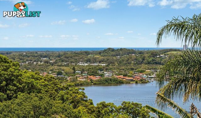 23 Karingal Avenue BILAMBIL HEIGHTS NSW 2486