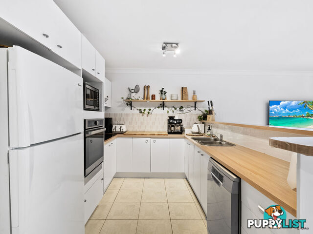 1/50 Leeward Terrace TWEED HEADS NSW 2485