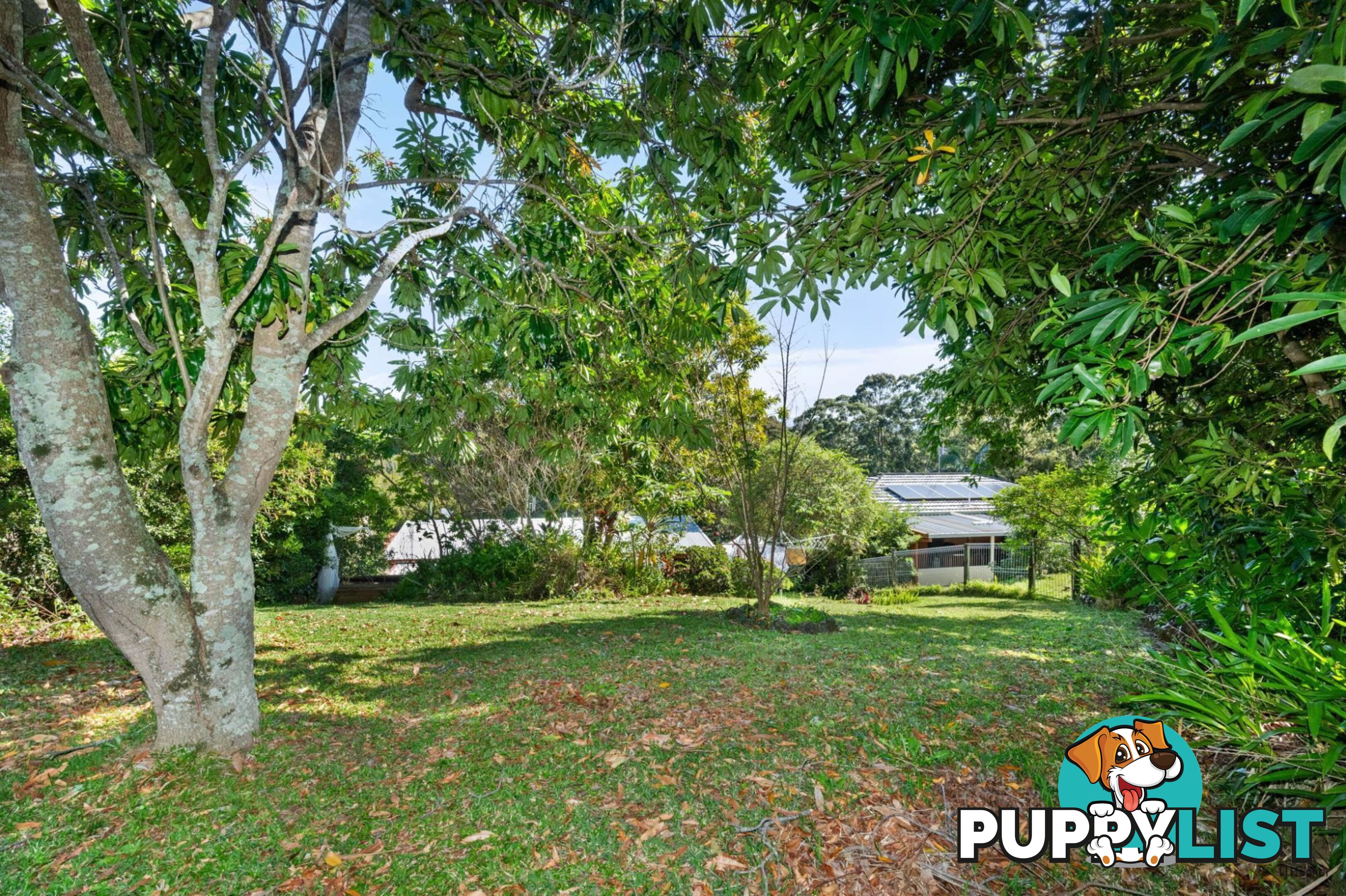 31 Lalina Avenue TWEED HEADS WEST NSW 2485