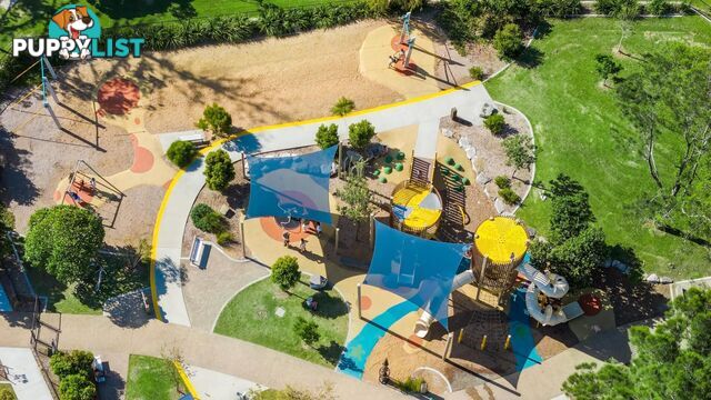 41 - 43 Boyd Street TWEED HEADS NSW 2485