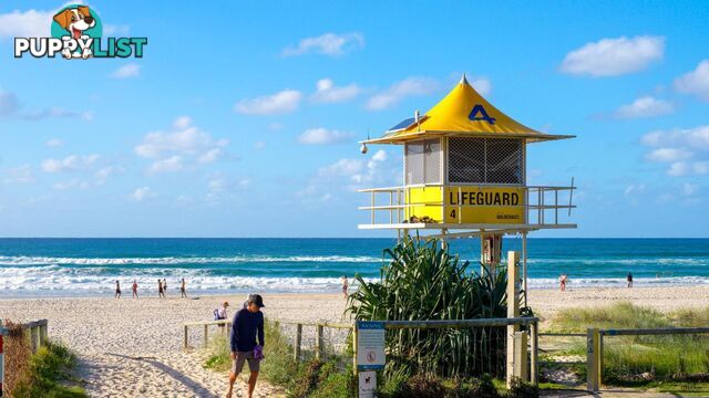 41 - 43 Boyd Street TWEED HEADS NSW 2485
