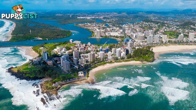 41 - 43 Boyd Street TWEED HEADS NSW 2485