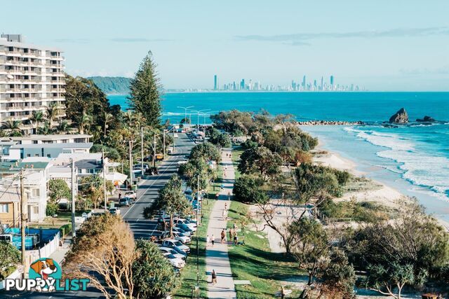 1/738 Pacific Parade CURRUMBIN QLD 4223