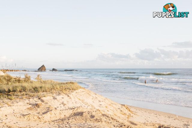 1/738 Pacific Parade CURRUMBIN QLD 4223