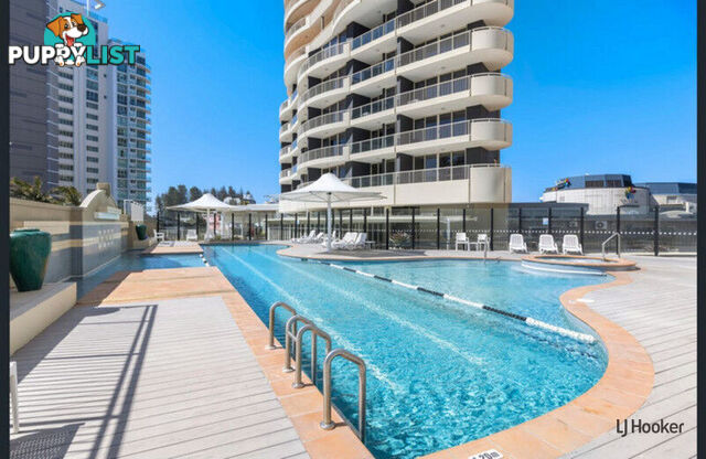 233/6-8 Stuart Street TWEED HEADS NSW 2485