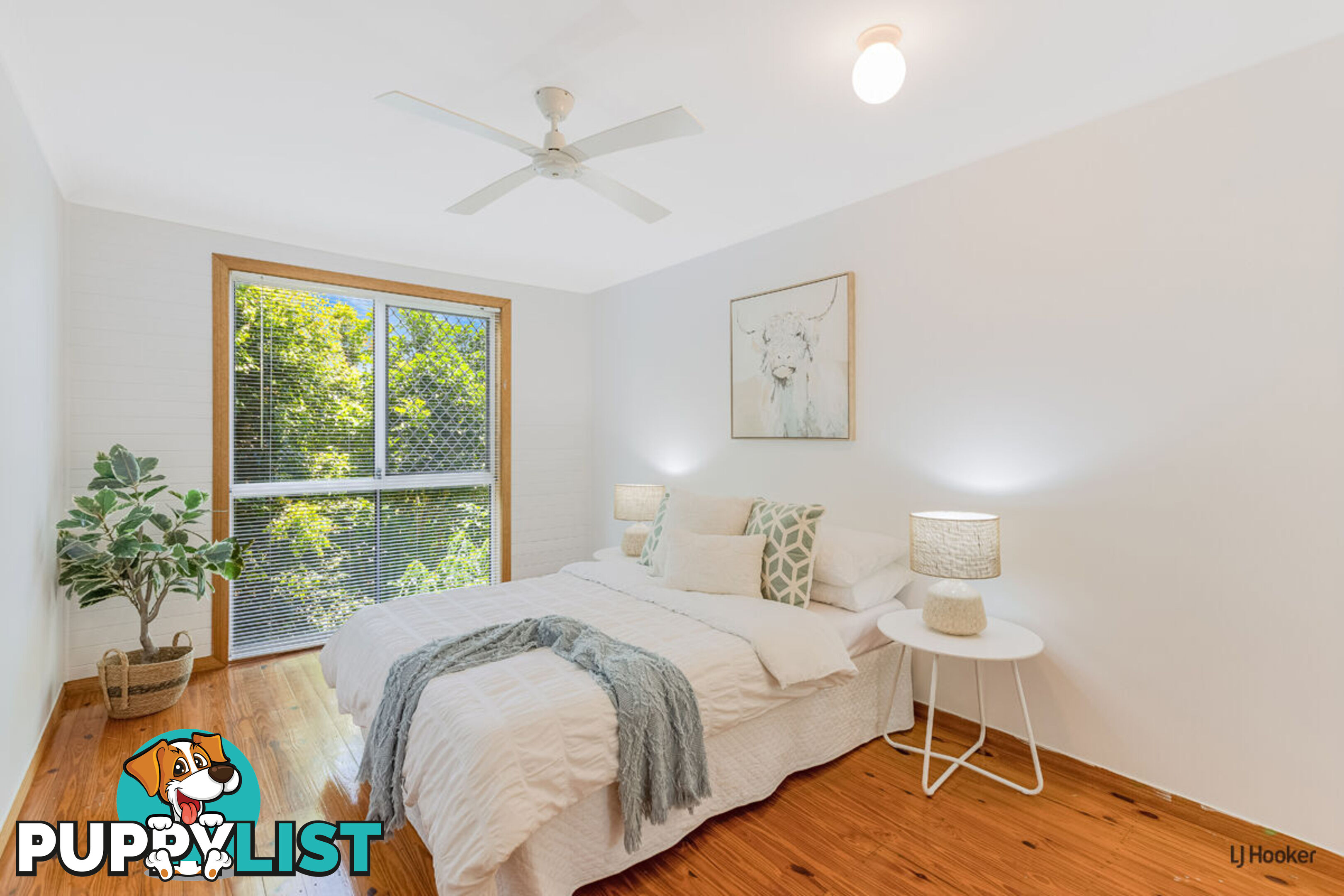 17 Pileena Street BANORA POINT NSW 2486