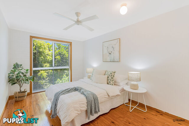 17 Pileena Street BANORA POINT NSW 2486