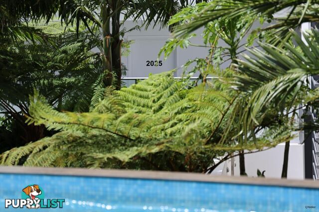 2025/9 Enid Street TWEED HEADS NSW 2485