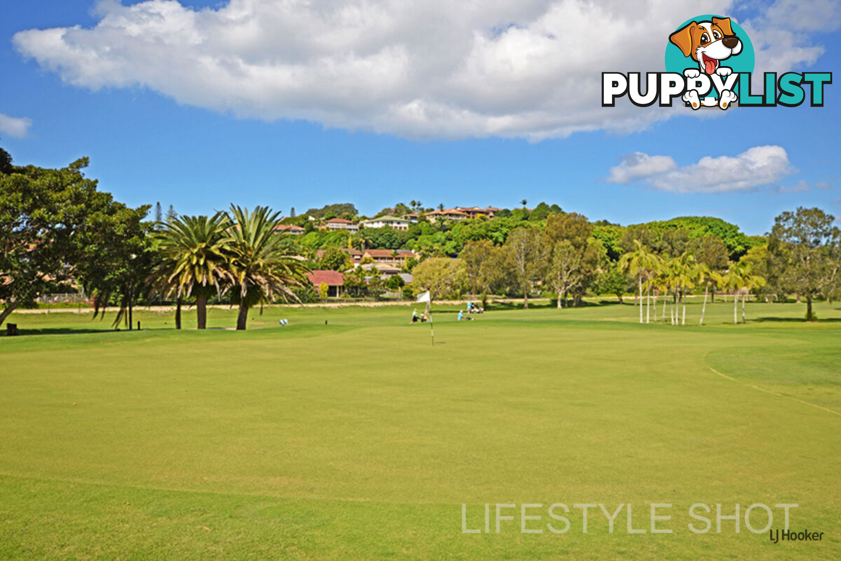 7 Wanda Court BANORA POINT NSW 2486
