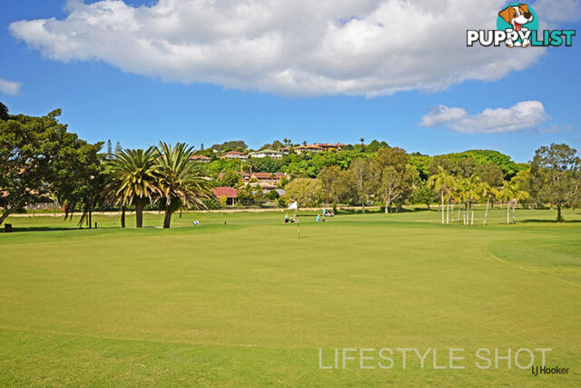 6 Blueberry Court BANORA POINT NSW 2486