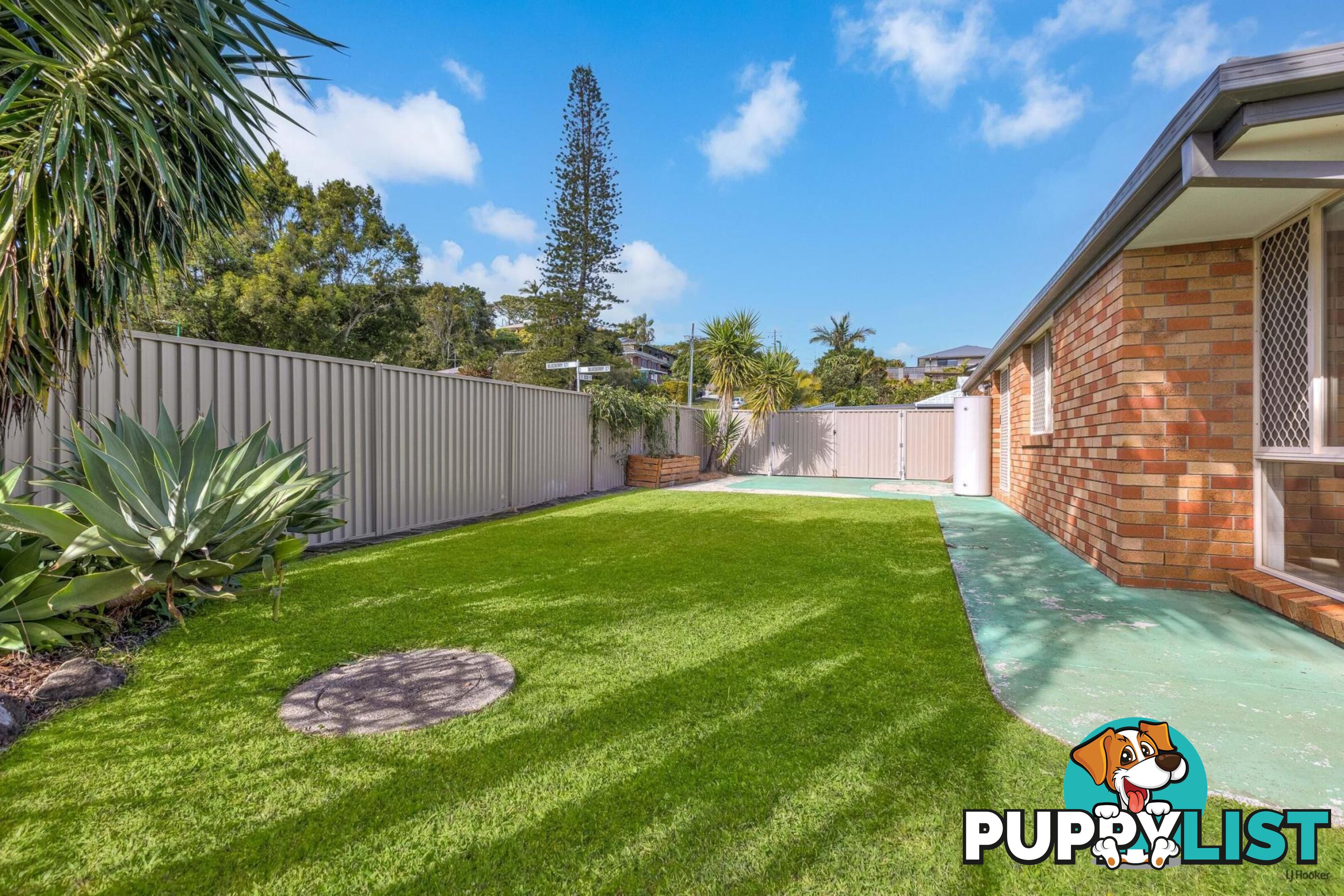 6 Blueberry Court BANORA POINT NSW 2486