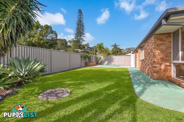 6 Blueberry Court BANORA POINT NSW 2486