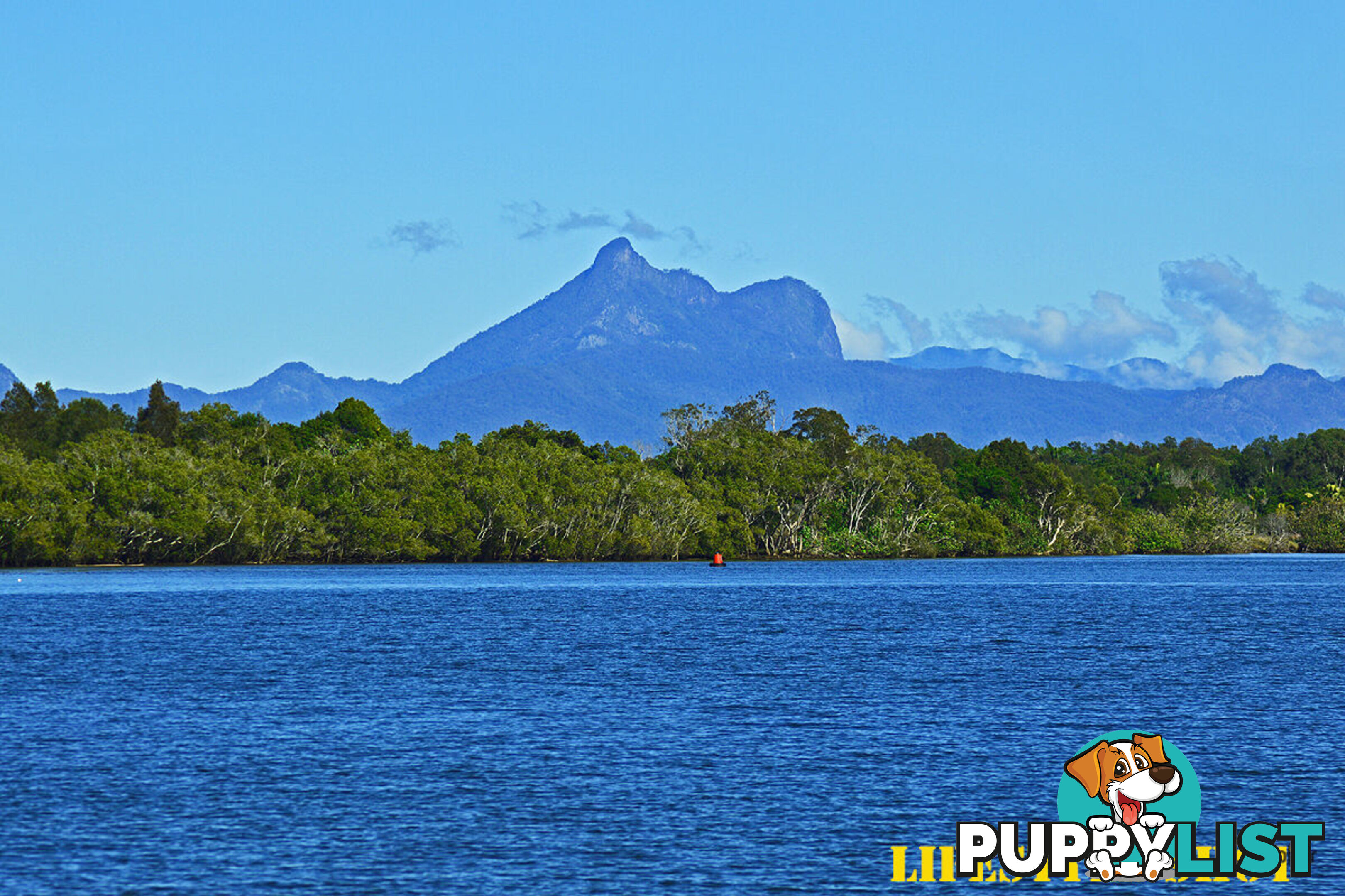 6 Blueberry Court BANORA POINT NSW 2486