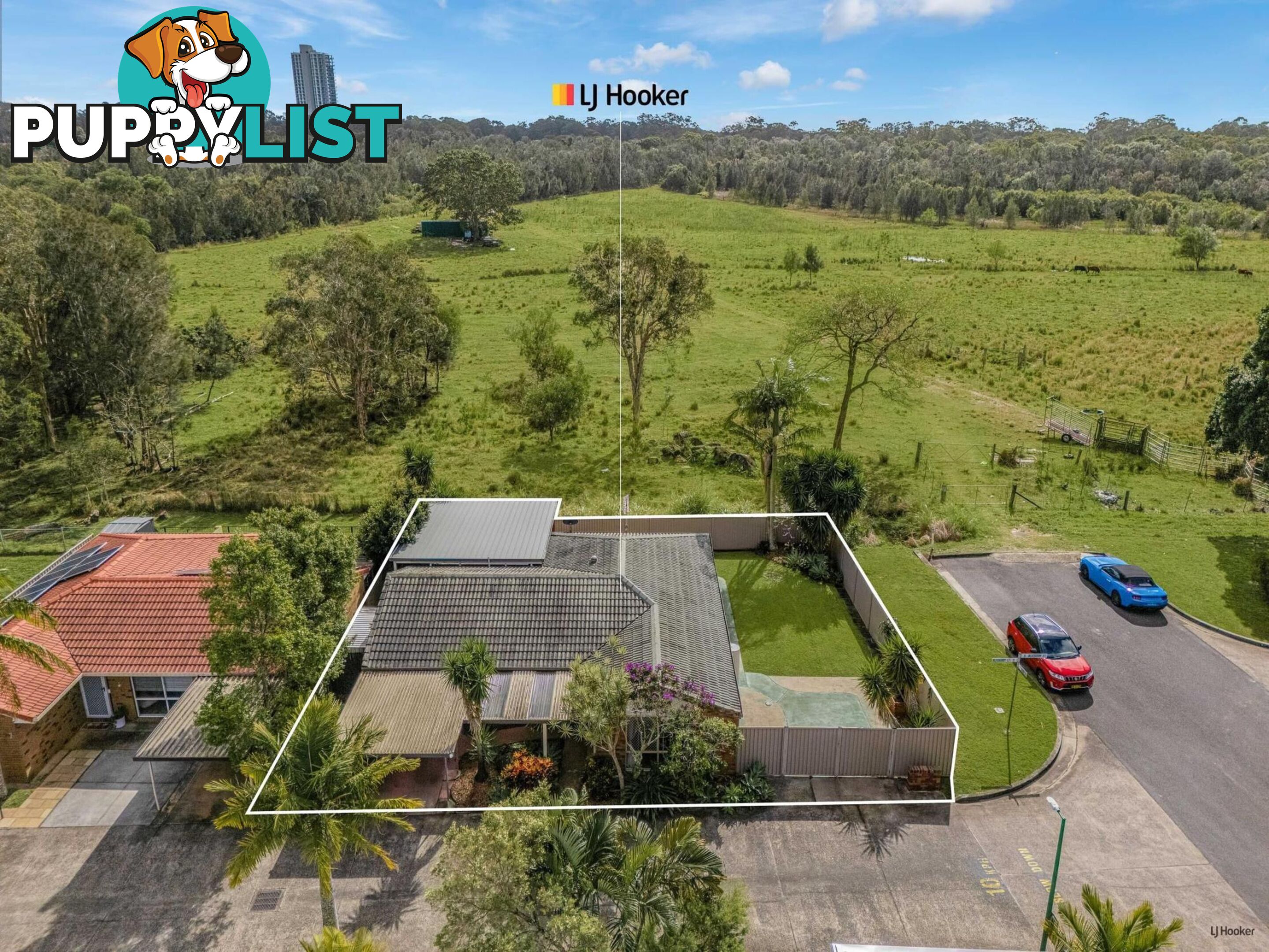 6 Blueberry Court BANORA POINT NSW 2486