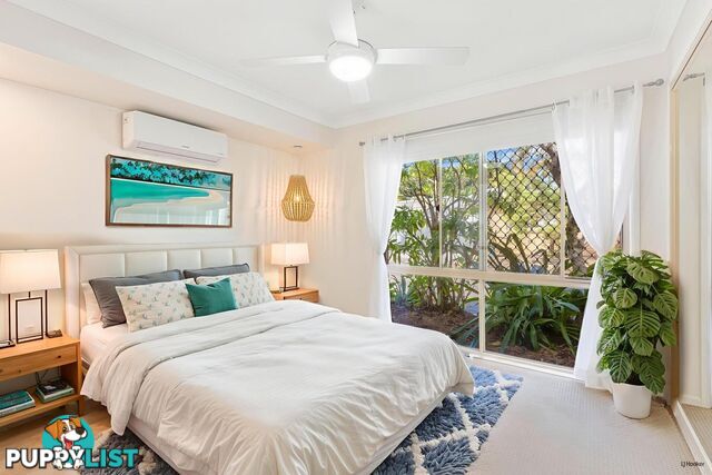 6 Blueberry Court BANORA POINT NSW 2486