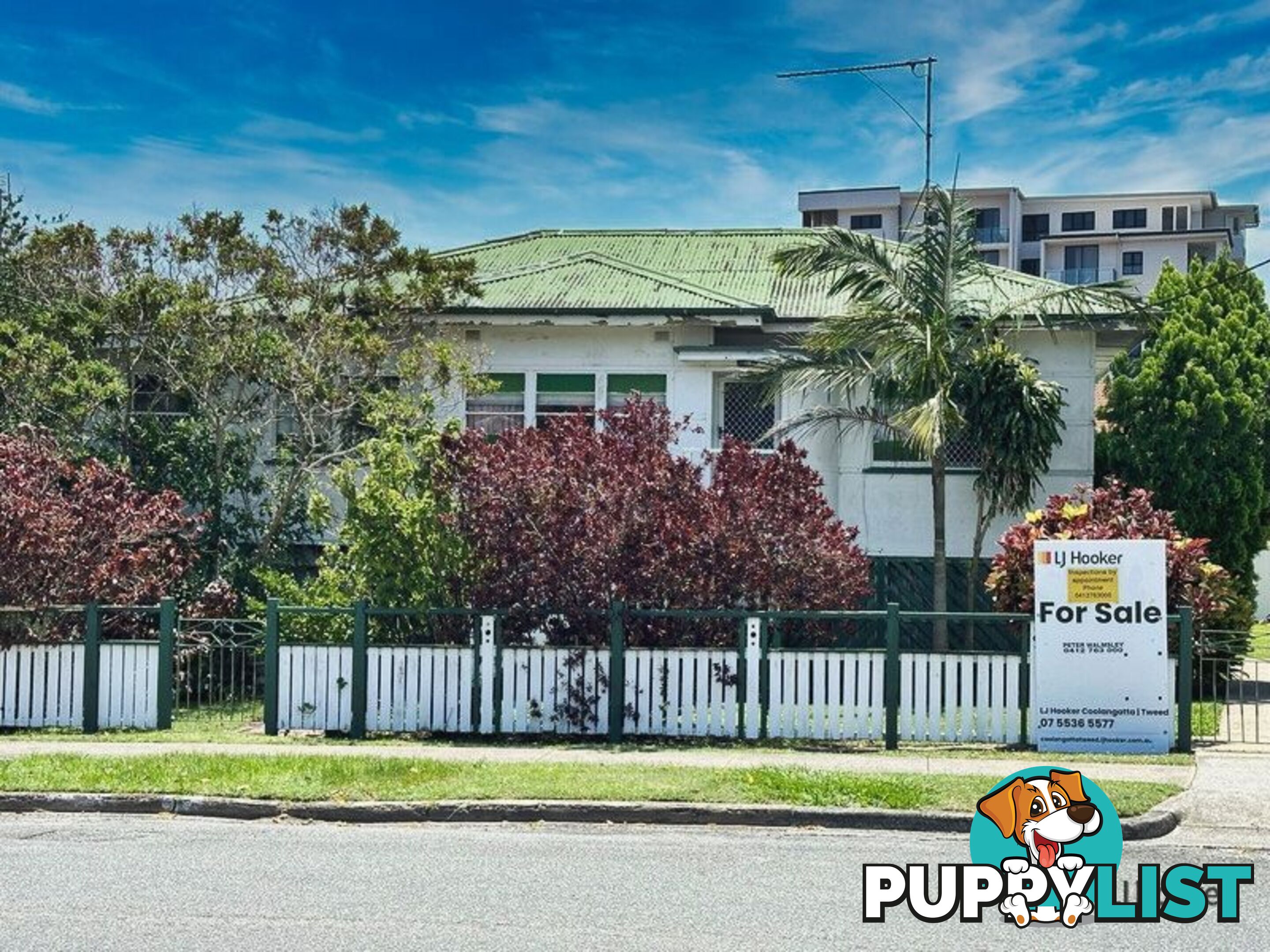 23 Florence Street TWEED HEADS NSW 2485