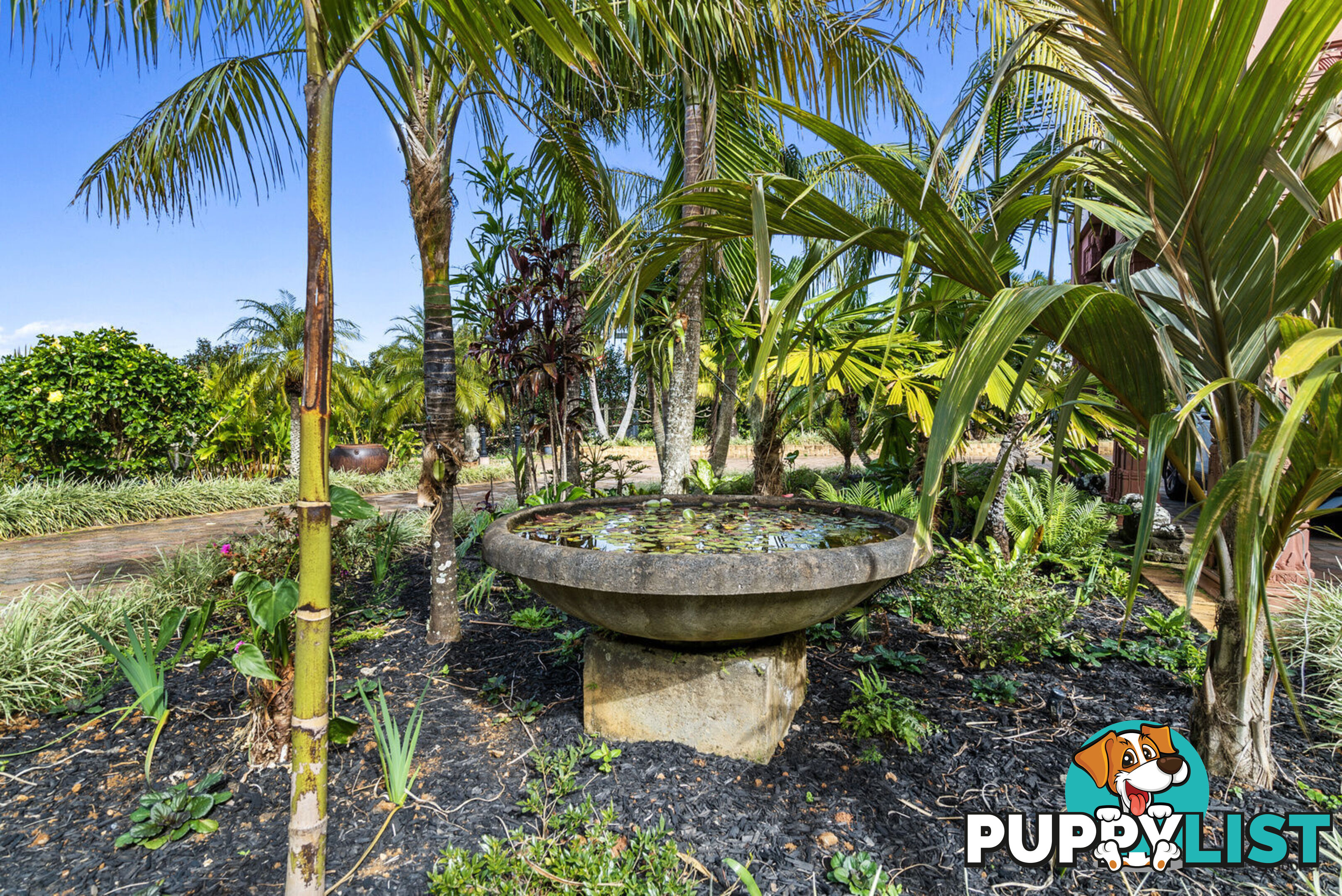 38A Sunnycrest Drive TERRANORA NSW 2486