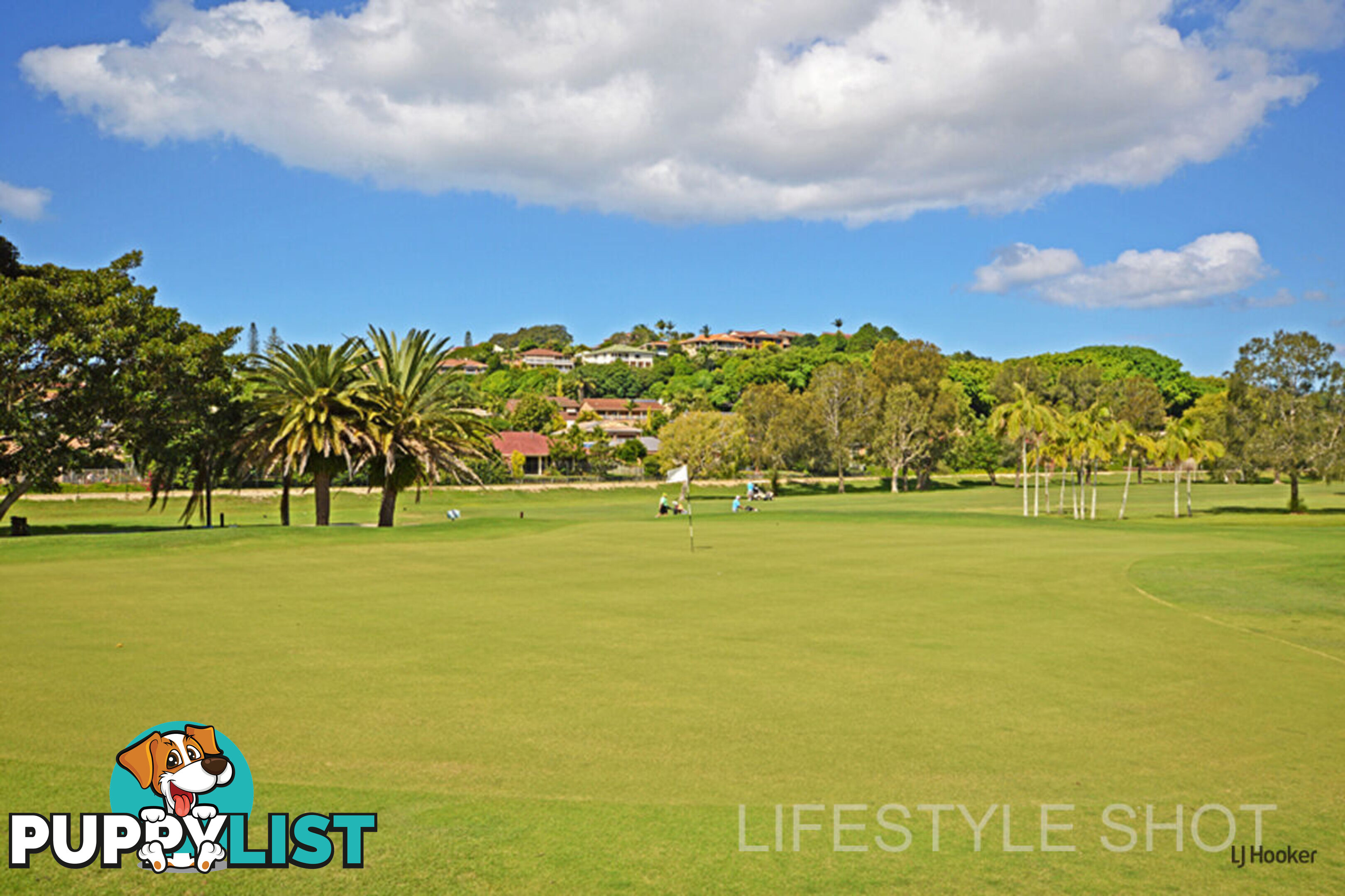 7 Oatlands Place BANORA POINT NSW 2486