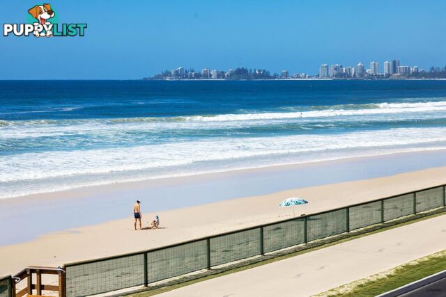 4/738 Pacific Parade CURRUMBIN QLD 4223